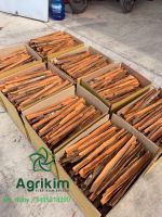 Split cassia lowest price and best quality manufacturer Viet Nam +843593318390