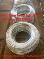 high quality galvanized wire from 2-5mm from Vietnam