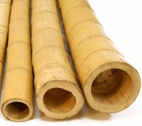 Petunng Bamboo Poles from Indonesia