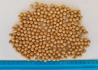 chickpeas in Ukraine