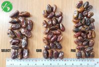 DRIED DATE