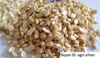 Vietnamese Cashew Nut Kernels SP