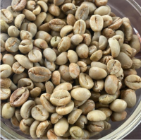 Robusta