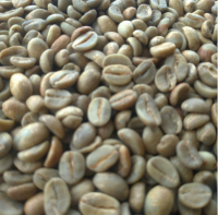 Java Arjuna Arabica