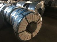 Steel Coils