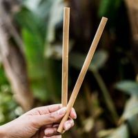 Bamboo Drinking Straws Eco-friendly Reusable Kitchen Straw 