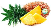 Fresh Pineapples