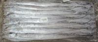 Frozen Ribbon Fish Whole A Grade