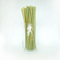 eco - friendly grass straws