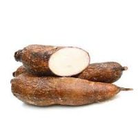 Starch product and powder form kind TAPIOCA CASSAVA STARCH