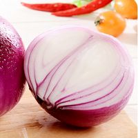 2021 Fresh high quality 10kg/20kg Mesh Bag red peeled Onions in bulk wholesalers from South Africa