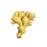 Treding hot products We Provide High Quality And Good Price Fresh And Dry Ginger From South Africa