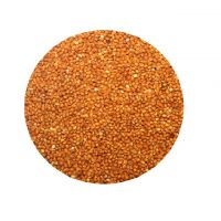 New crop high quality millet grain in bulk from Kazakhstan manufacturer best price millet grains supplier