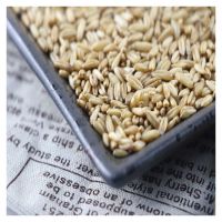 Wholesale High Quality Listing Limited Time Offer Wholesale Organic Oats Kernels