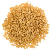 Feed Wheat South Africa Wholesale Natural Organic First Grade Animal Feed Wheat 50 Kg Bag Packaging Wheat Seeds Cereal Grain