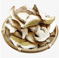 Sichuan wild fresh White Boletus Picked by local Tibetans on the snow-covered plateau Air direct
