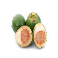 DRIED WHOLE BETEL NUTS/ ARECA NUTS FROM SOUTH AFRICA WITH BEST PRICE