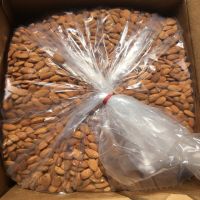 Halal Certificate Apricot Kernel Sweet Apricot Seeds For Mix Nuts And Beverage Wholesale