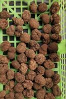 Fresh black truffle Yunnan forest wild edible mushroom Fresh truffles Mushroom truffles