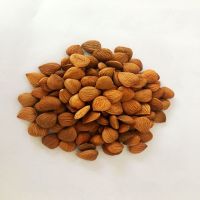 Apricot Kernels Organic Raw Dried Bitter apricot kernel Around 99.95 %Purity cancer treatment with B17