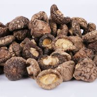 Qinling wild money small dried shiitake mushrooms, extra small 250g, special grade edulis, new mushrooms