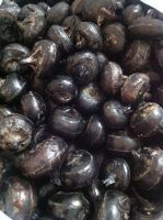 AYAME Water Chestnut Fruit And Vegetable From Thailand Healthy Food