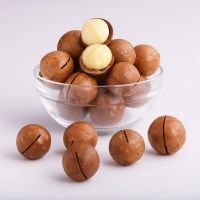 Macadamia nuts 100% Factory Bulk Fresh 2A 3A 5A Roasted Creamy Flavor Macadamia Wholesale