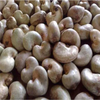 South Africa roasted cashew nuts with salt - cashew salted without husk - Salted roasted cashew nuts from South Africa