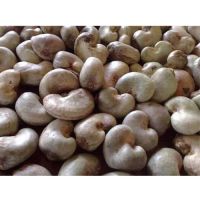 Gift Packaging Sweet & Salt Dried Roasted Raw Cashew Nut with Food Safety Certification