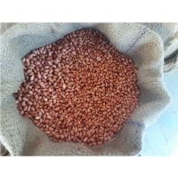 High Quality 100% Natural Pure Bold Peanuts / Groundnuts Kernel Available in Bulk