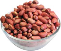  South African raw peanuts wholesale peanuts with best price for export 