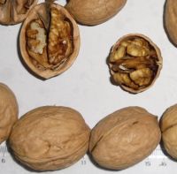South Africa High quality whole hulled pieces Walnuts with Thin Shell or walnut kernels