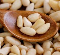 Buy Top Shelf New Pine Nuts at competitive Prices From top Ranking Bulk SuppliersBuy Top Shelf New Pine Nuts at competitive Prices From top Ranking Bulk SuppliersBuy Top Shelf New Pine Nuts at competitive Prices From top Ranking Bulk Suppliers