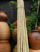 Agriculture Bamboo Sticks Raw Bambou Poles for Nursery Planting/Custom Bamboo Timber Material