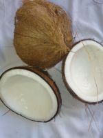 Export desiccated coconut powder low fat mature coconut food healthy fresh young coconut