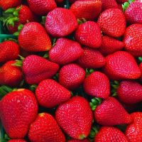 Top Quality Fresh Berries Fruits Eco Friendly Packages South Africa Delicious Sweet Golden Strawberry