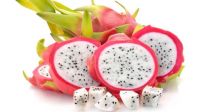 Manufacturing Company In South Africa High Quality Healthy And Juicy Fresh Dragon Fruit Premium Product Cheap Price Buy Now