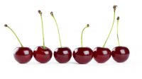 RED Color Origin South Africa FRESH FRUITS Jumbo Grade Product Taste Sweet Cherries