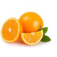 Valencia & Navel Orange Common Cultivation Type and Delicious Taste Fresh Citrus Fruit 2021