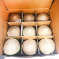 fresh young coconut price Fruit from Thailand Drinking for Healthy With Weight 1,000 g