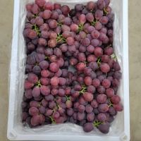 Canned grapes 850g fresh grapes fruit milk tea shop special commercial raw materials