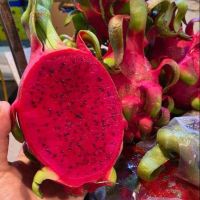 High Quality South African Red Dragon Fruit Healthy Fresh Fruit for Summer Day Light Sweet Red Pink 10kg Carton RED Inside