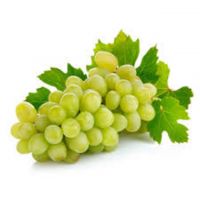 Most selling delicious sweet 95-100% maturity natural class A green South African fresh grapes