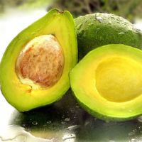 FRESH AVOCADO with High QUALITY 2021 from from South Africa a Grade GREEN Green Skin 18 Cm COMMON Cultivation 0.5 Kg