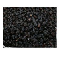 Fresh Ajwa Almadeena Top Quality Bulk Selling Export Quality Dry Dates Fruit From South Africa