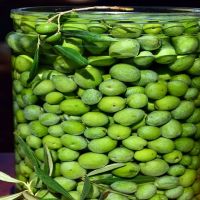 Agriculture Organic New Season Good Quality Fresh Green Olives Available For Sale