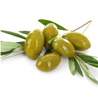 Premium FRESH OLIVE Green Color Origin South African Variety Size Olive Fruit Place Maturity Cultivation COMMON