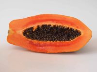 Fresh PAPAYA South African New Crop Best Selling 2021 High Quality For Exporting Cheapest Price Contact