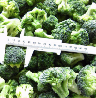 South Africa Supplier IQF Frozen Fresh Vegetables Frozen Broccoli blocks