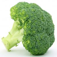 Broccoli Frozen Green Quantity Box KOSHER Bulk Style Packaging GAP Plastic Color Package Weight Origin Ice Foam Type Vegetable